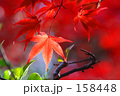 赤の舞　５
