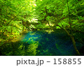 新緑の青池