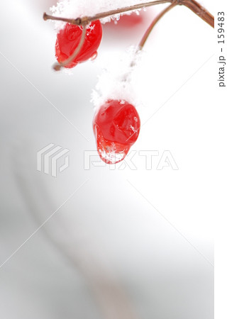 雪ぼうし 雪ぼうし