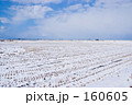 冬の田んぼ
