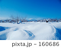 雪に埋もれて