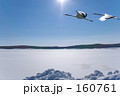 雪原と鶴