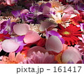 はな