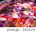 はな