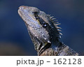 豪の野生１