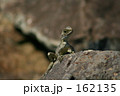 豪の野生２