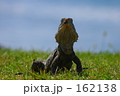 豪の野生４