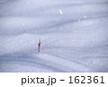 キラキラ雪に埋もれた