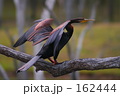 豪の野生６
