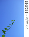 Blue sky