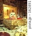 オルゴール猫