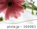 優しい風