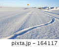 ウサギの軌跡