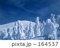 恐竜あらわる （蔵王山樹氷） 