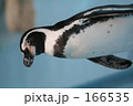 素材ナンバー 166535 : 「ペンギン」