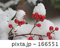 わたぼうし