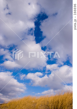 「冬の青空」の写真素材 「冬の青空」の写真素材
