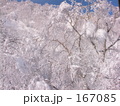 苗場樹氷