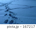 冬の足音 月明かりだけ
