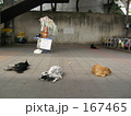いつもこの辺りにいます　８
