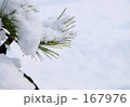 雪松