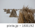 "津軽平野"雪の田んぼ