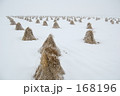 "津軽平野"雪の田んぼ２