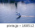 白鳥の湖