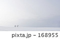 親子の木