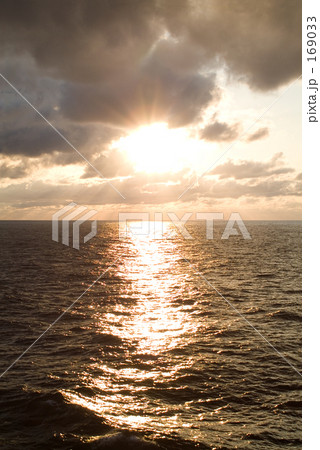 「桃色の時」の写真素材 「桃色の時」の写真素材
