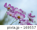 あなたへ