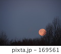 素材ナンバー 169561 : 「月」