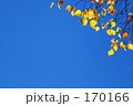 小春日和