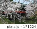 弘前城の桜