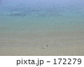 波打ち際