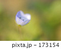 春に向かって