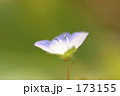 春の訪れ