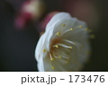 173476
