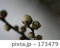 173479