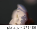 173486