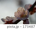 173487