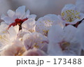 173488