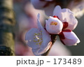 173489
