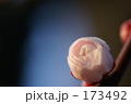 173492