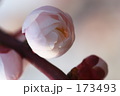 173493