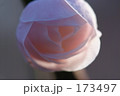 173497