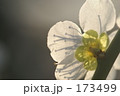 173499