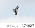 ケアシノスリ