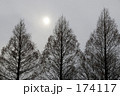 大寒の日