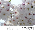 いないいないばぁ〜